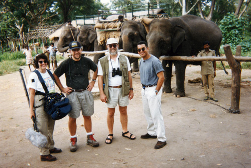 14 Elephants. India